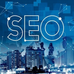 Seo services by digital marketer in mumbai